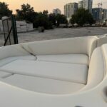 22 feet boat buy and sale