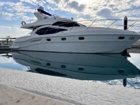 50 FEET MAJESTY