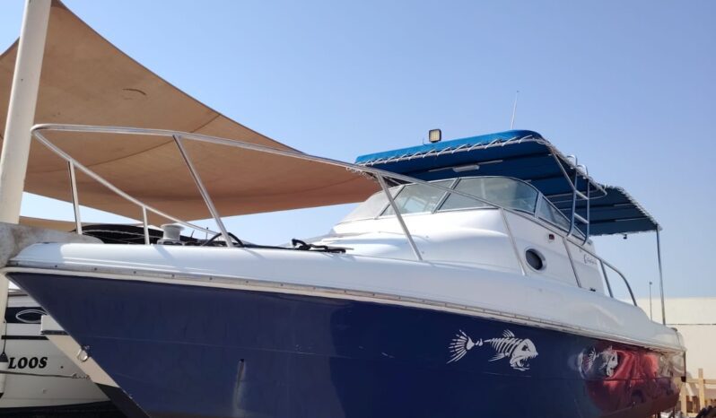 
								GULF CRAFT WALK AROUND full									