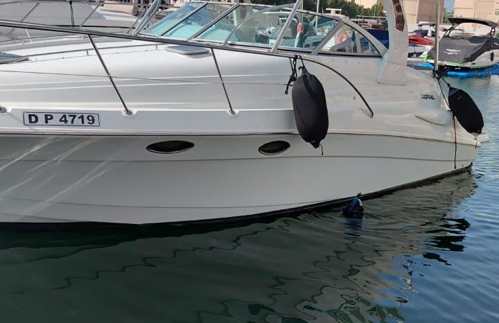 
								DORAL 300S – 2024 full									