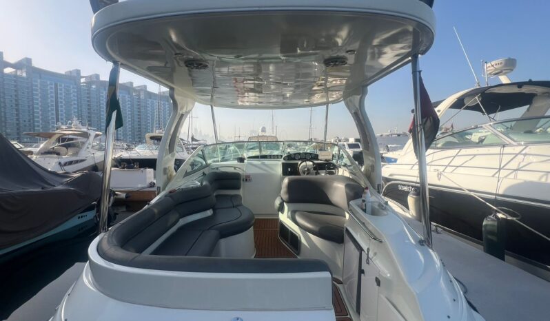
								DORAL 300S – 2024 full									