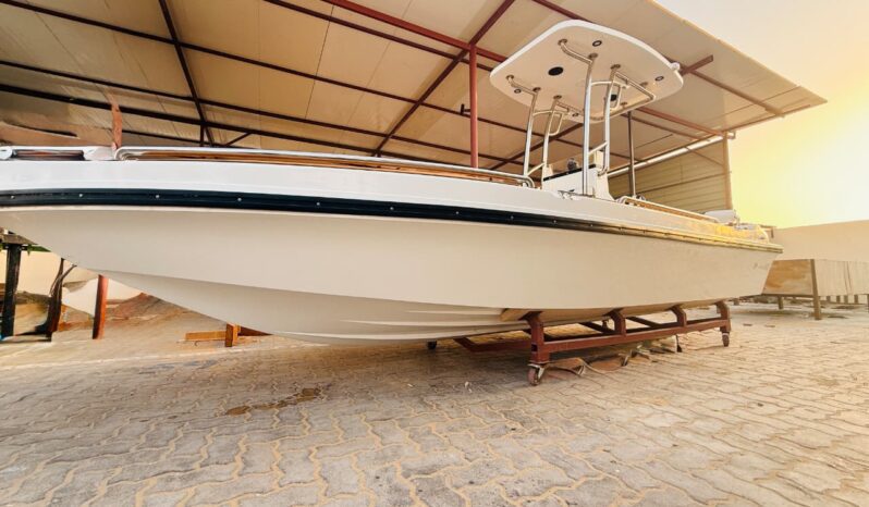 
								NANJE SB 19FT full									