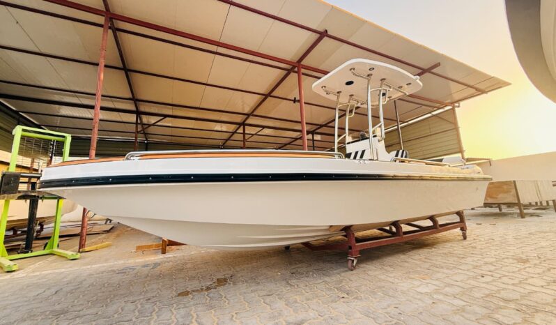 brand new boat sale 19 feet