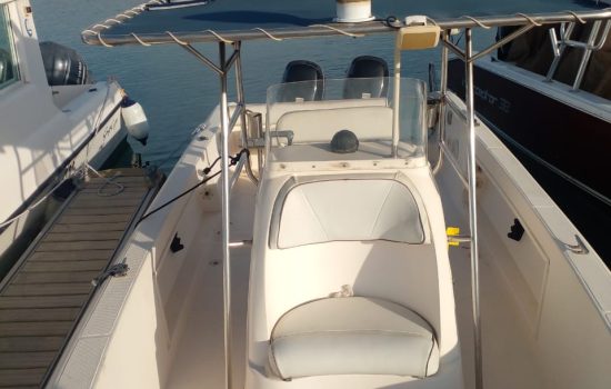 Silver craft boat for sale Dubai