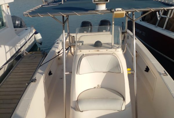 Silver craft boat for sale Dubai