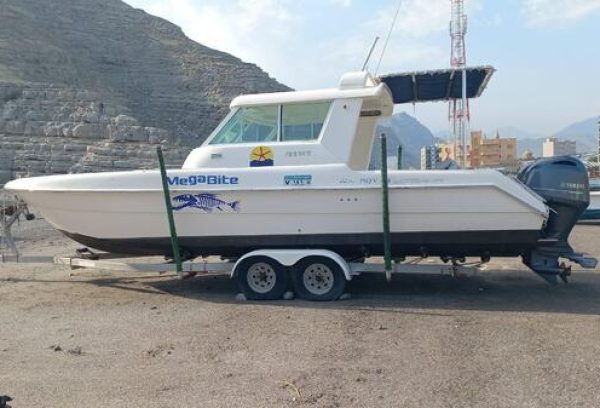 Silver craft 31 ft boat for sale in Dubai