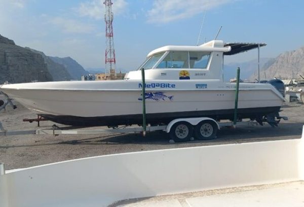 Silver craft 31 ft boat for sale Dubai