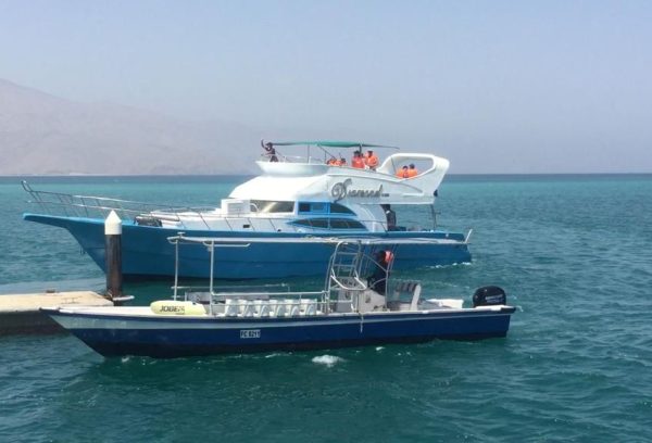 62 Feet Used Sport Boat for Sale in Dubai