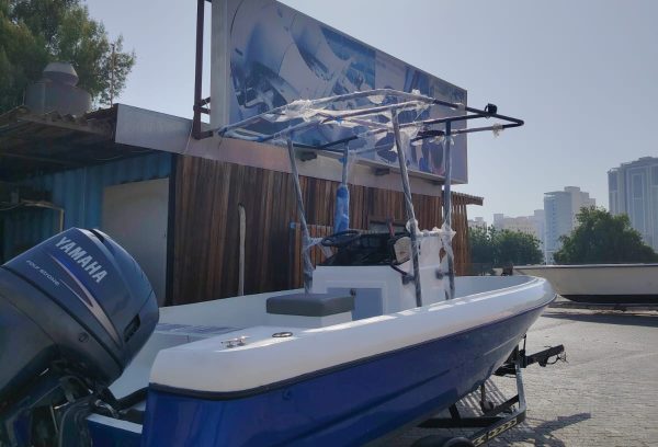American brand 20 feet boat for sale