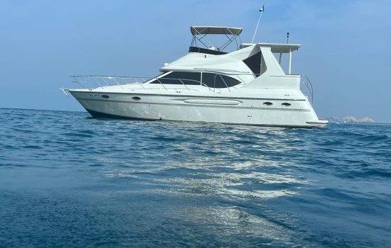 buy american carver yacht