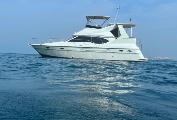 buy american carver yacht