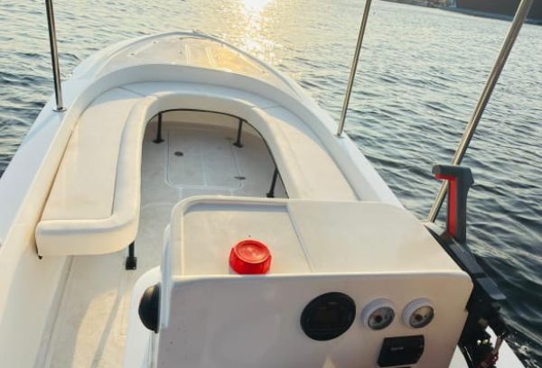Nanje marine brand new boat 20 feet for sale