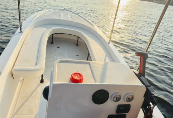 Nanje Marine brand new boat 20 feet for sale
