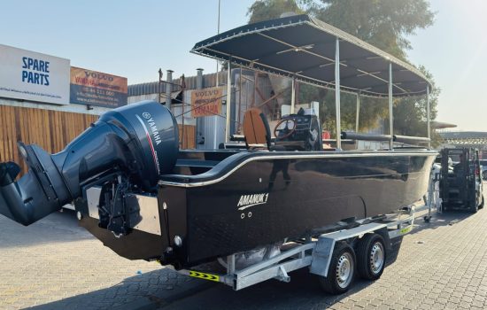 brand new 30ft boat for sale Nanje Marine