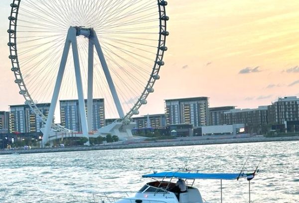 gulf craft 31 feet for sale in Dubai