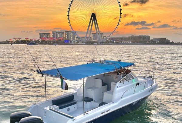 gulf craft 31 feet boat for sale inn Dubai