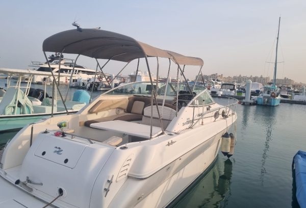 searay yacht for sale Dubai