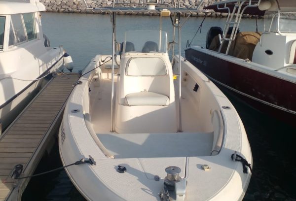Silver craft boat sale Dubai